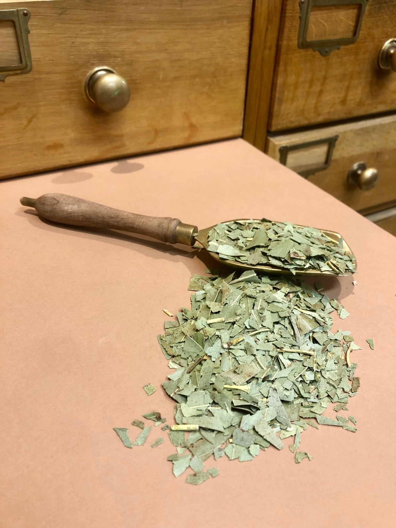 Eucalyptus feuilles BIO (Tisane en vrac)