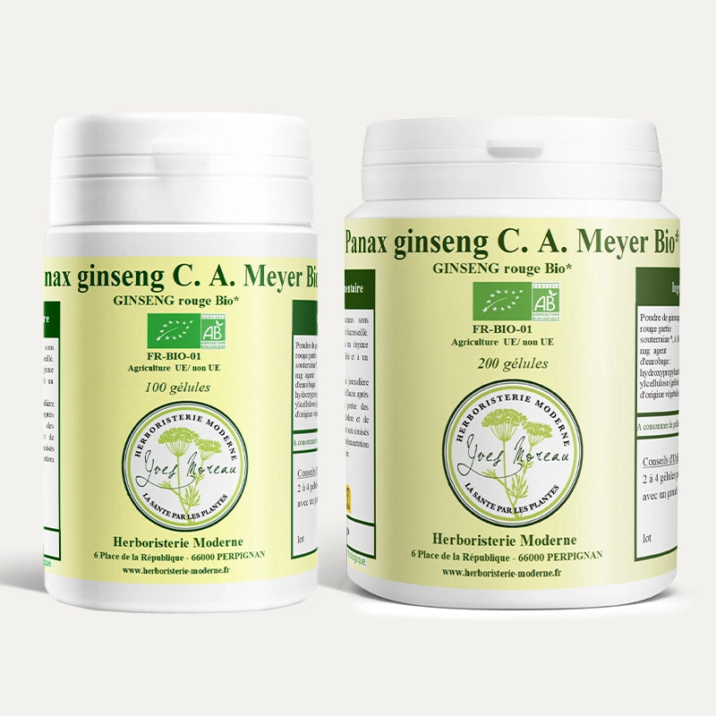 Ginseng Rouge Panax BIO Variété premium garantie CA MEYER  6 ans d'Age (Gélules)