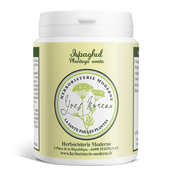 Ispaghul - Psyllium Blond (Gélules)