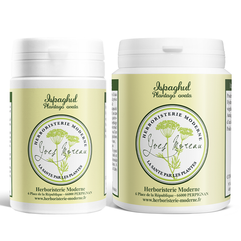 Ispaghul - Psyllium Blond (Gélules)