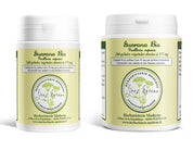 Guarana BIO (Gélules)
