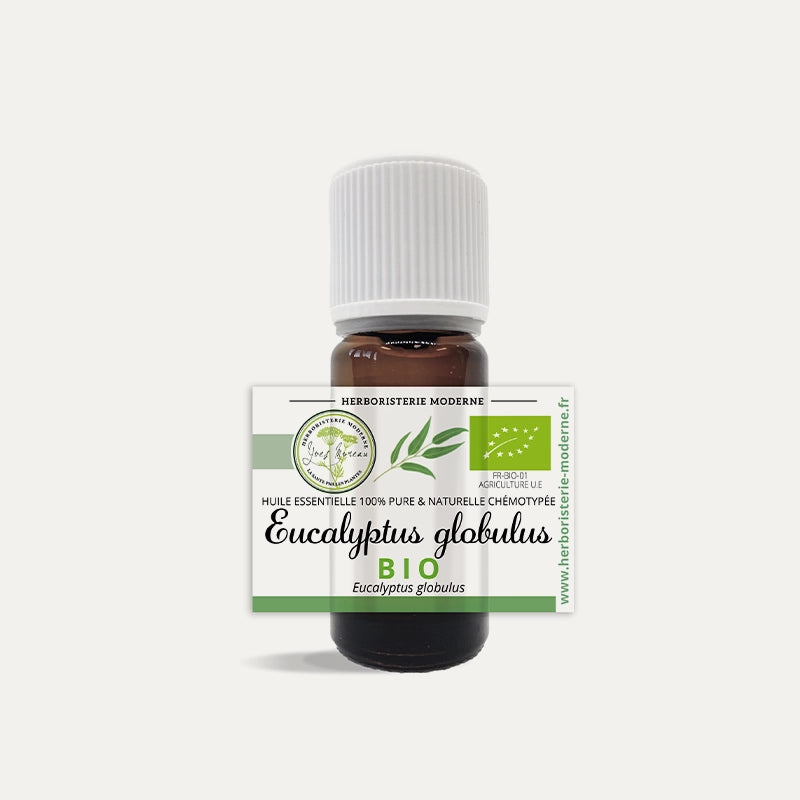 Huile essentielle Eucalyptus Globulus BIO