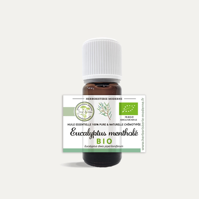 herboristerie-moderne-huile-essentielle-eucalyptus-menthole.webp
