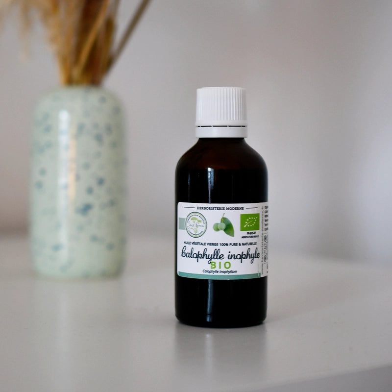 herboristerie-moderne-huile-vegetale-calophylle-2.webp