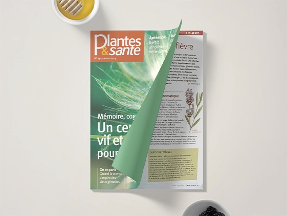 herboristerie-moderne-la-presse.webp