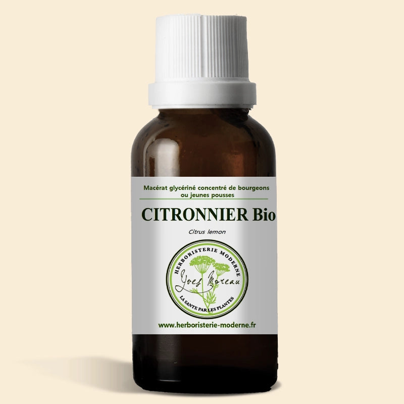 herboristerie-moderne-macerat-citronnier-bio.webp