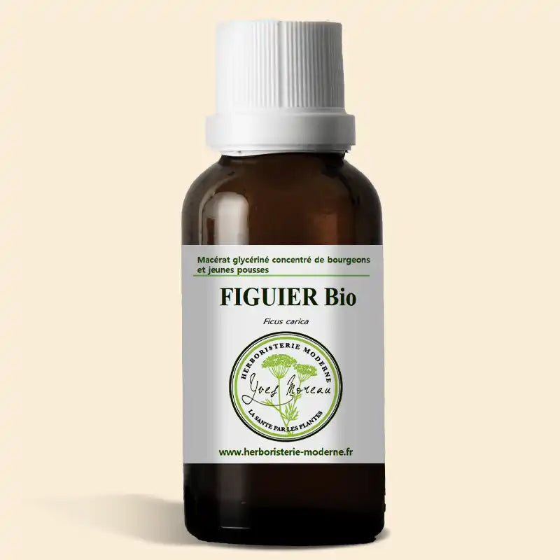 Macérât glycériné concentré de bourgeons de Figuier BIO (Bourgeons)