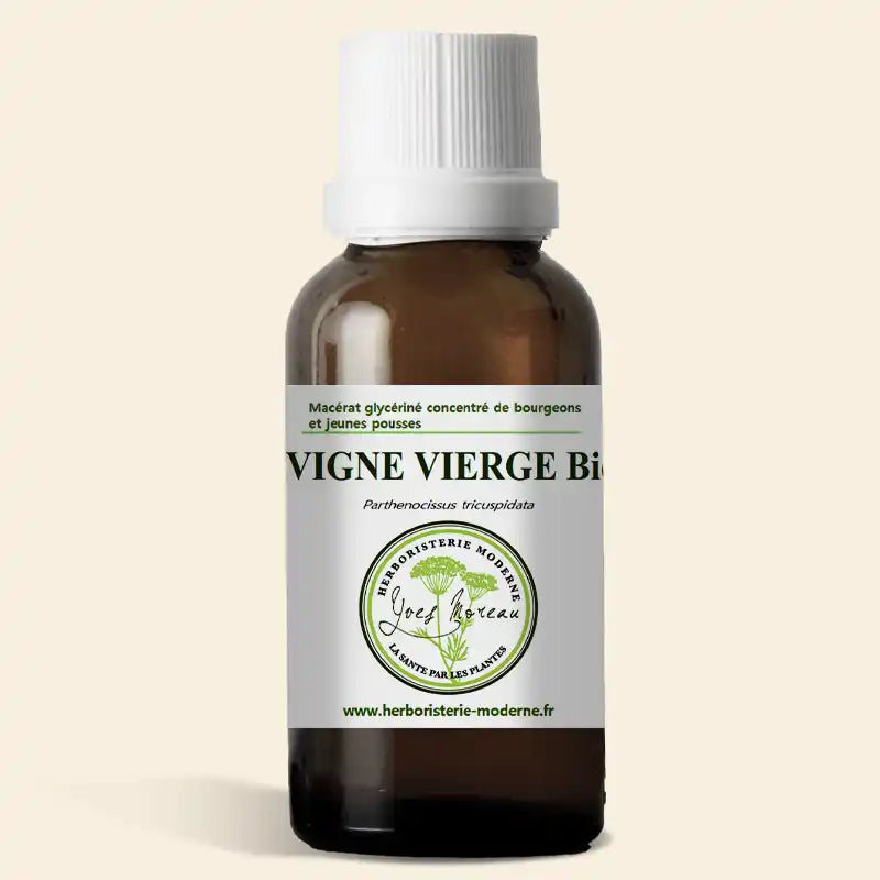 Macérât glycériné concentré de bourgeons de Vigne vierge BIO (Jeunes pousses)