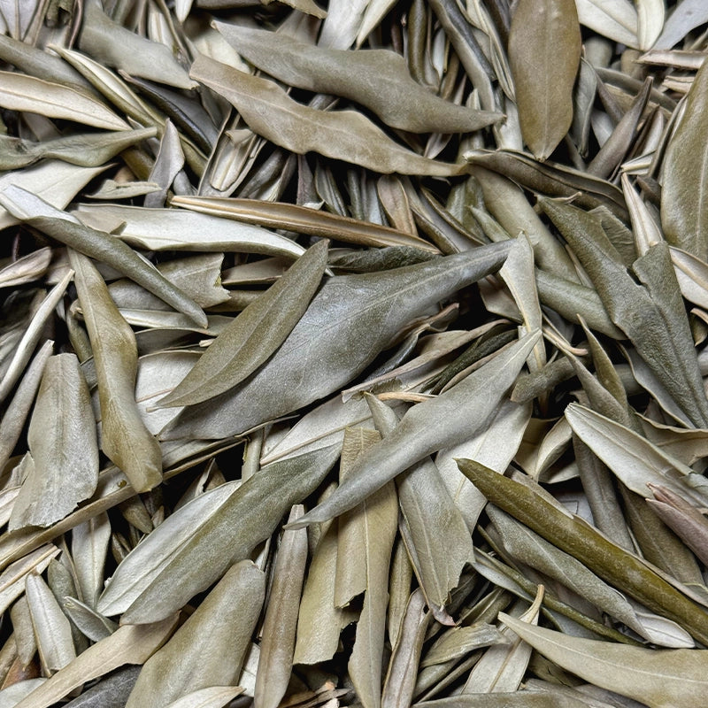 herboristerie-moderne-plantes-simples-Olivier-BIO-feuilles-tisane-en-vrac_9949310e-3e4d-4d61-8b90-a6199d56138f.webp