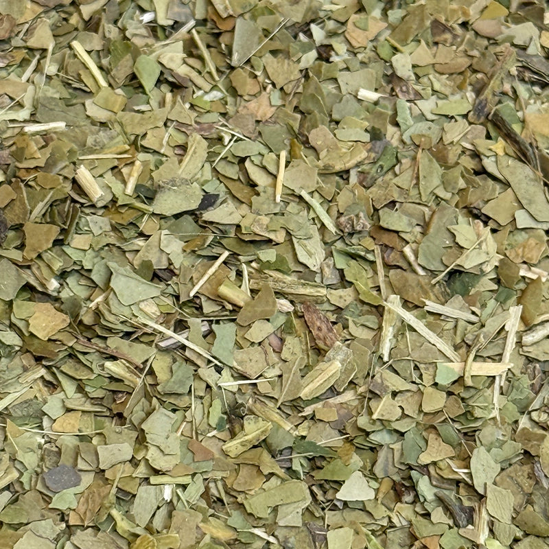 herboristerie-moderne-plantes-simples-mate-vert-yerba.webp