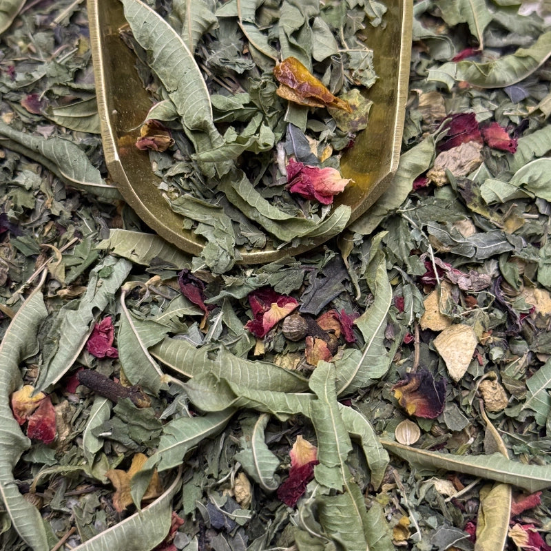 herboristerie-moderne-tisane-des-amoureux-2.webp