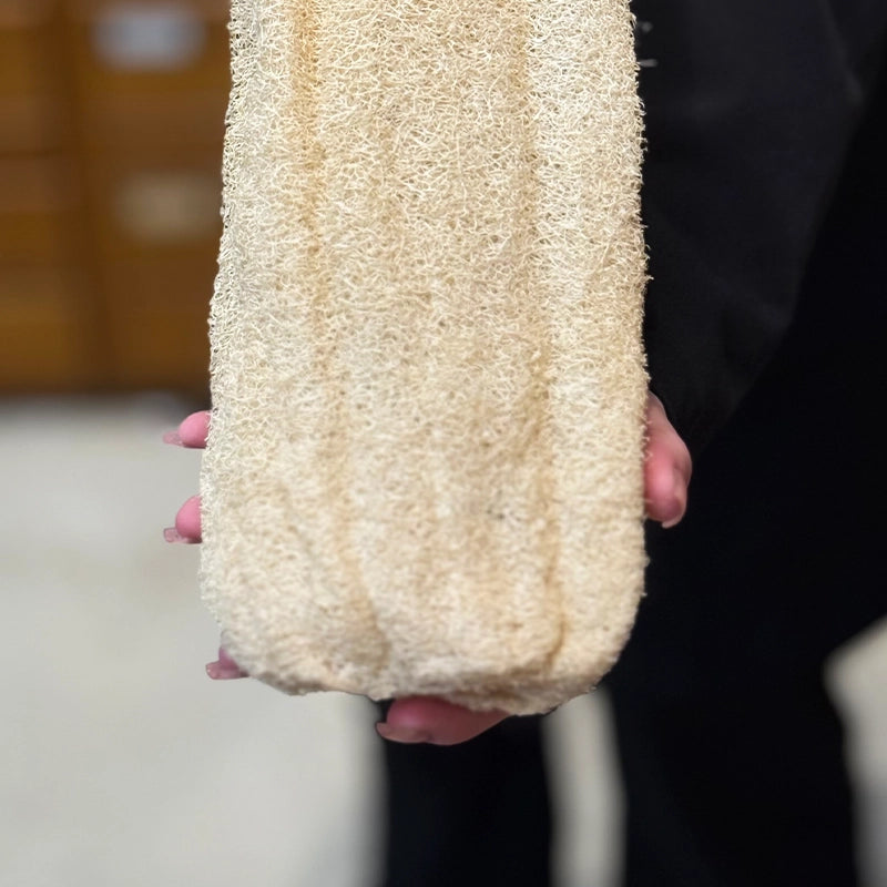hm-Loofah-eponge-vegetale-1.webp