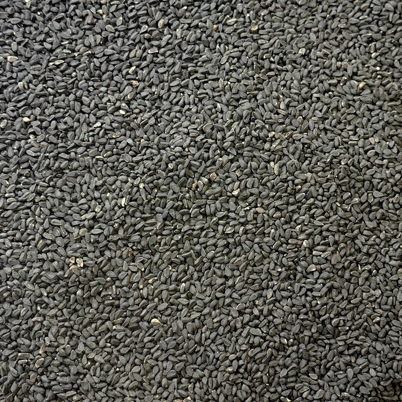 hm-Plantes-simples-Nigelle_-_Cumin-Noir-BIO-Graines-1.webp