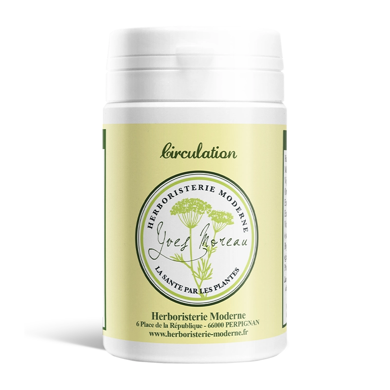 hm-complement-alimentaire-circulation-gelules-90.webp