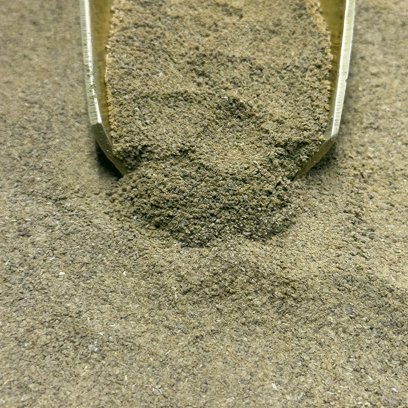 Céleri (Poudre)