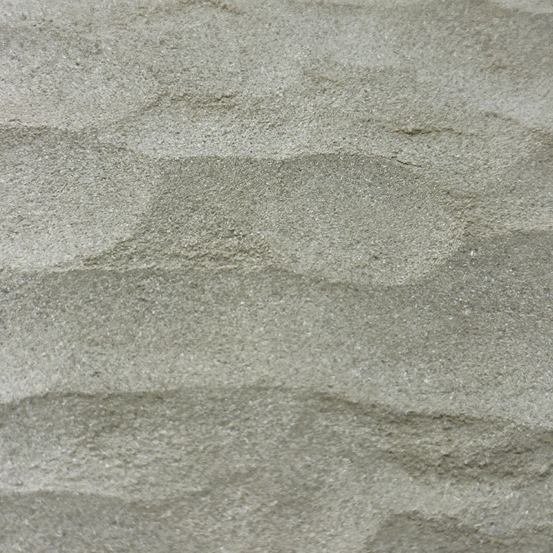 Romarin (Poudre)