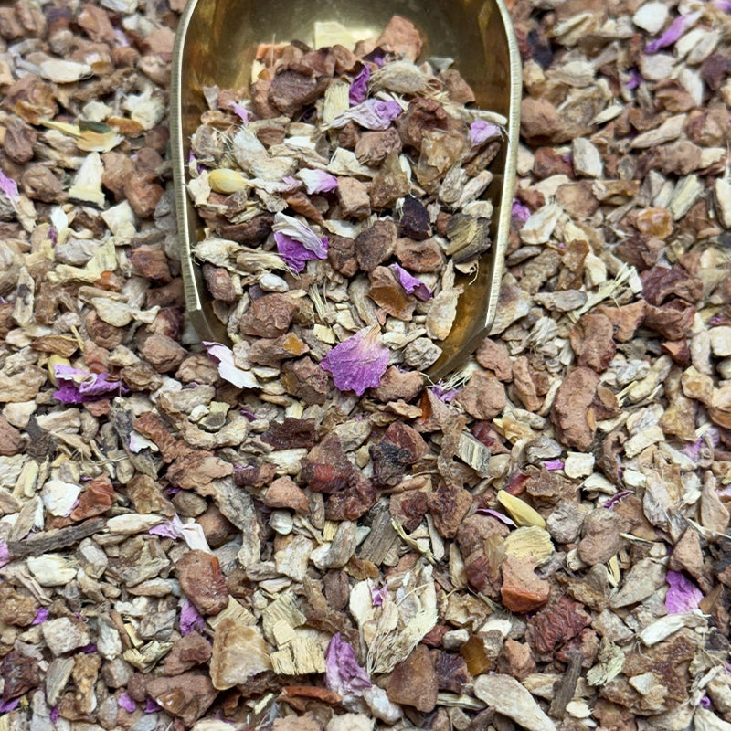 Infusion Gingembre revigorant BIO