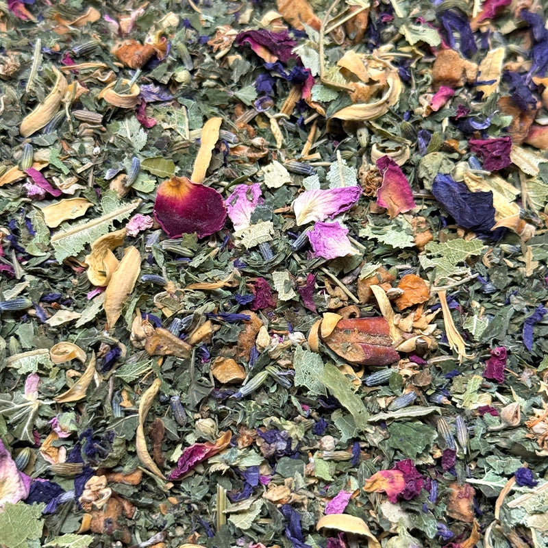 Infusion Cocooning