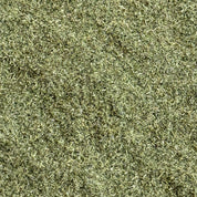 Ortie piquante (Poudre)