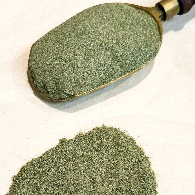 Ortie piquante (Poudre)