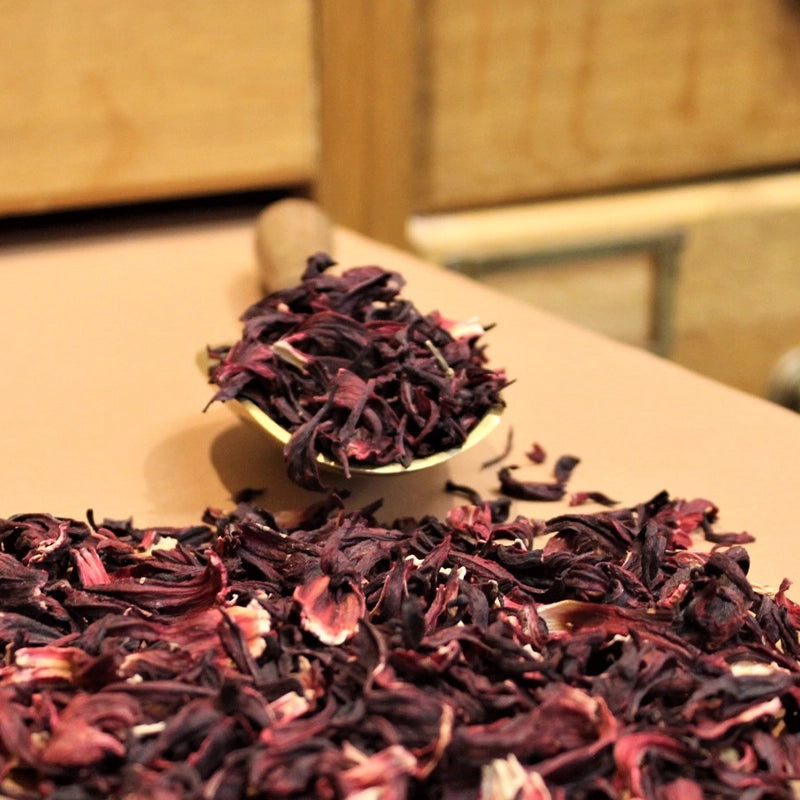 hm-plantes-simples-hibiscus-fleurs-bio.webp