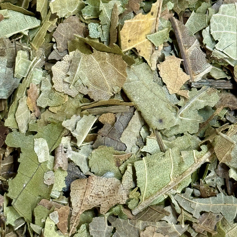 Noyer (Feuilles)