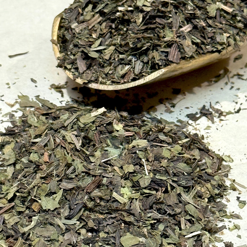 Plantain lancéolé (Tisane en vrac)