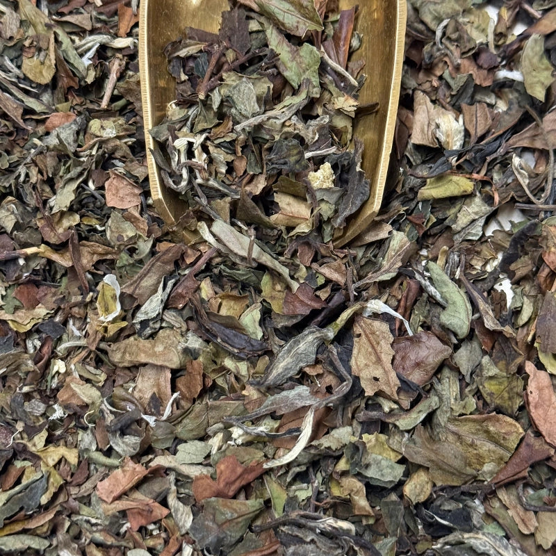 Thé blanc Earl Grey