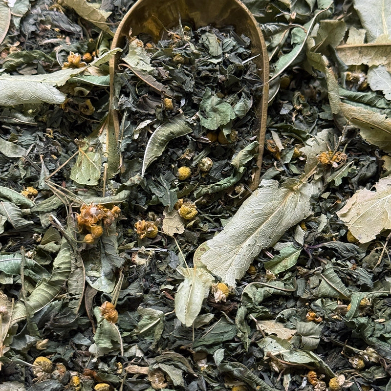 hm-tisane-Bonheur-1.webp