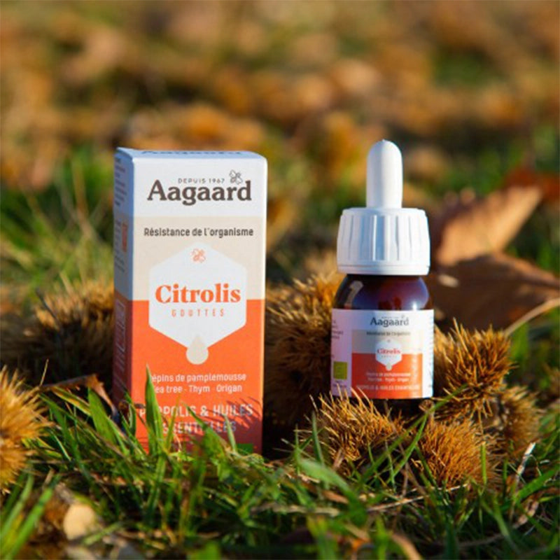 la-source-aagaard-citrolis-4.webp