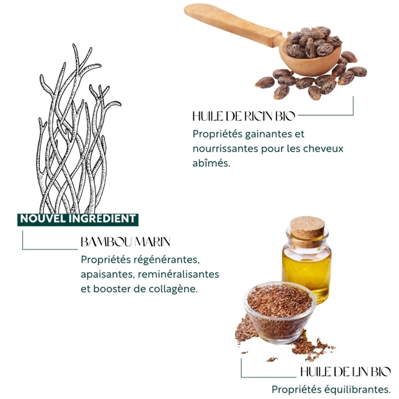Teinture aux plantes Martine Mahé n°4 Châtain