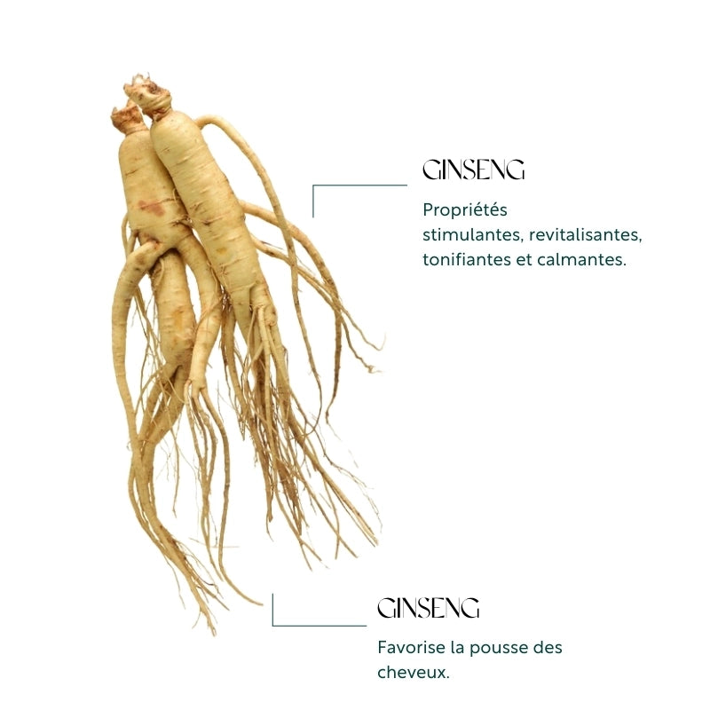 martine-mahe-serum-au-ginseng-3.webp