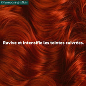 Shampooing reflets à l’huile de Camélia - cuivré ardent