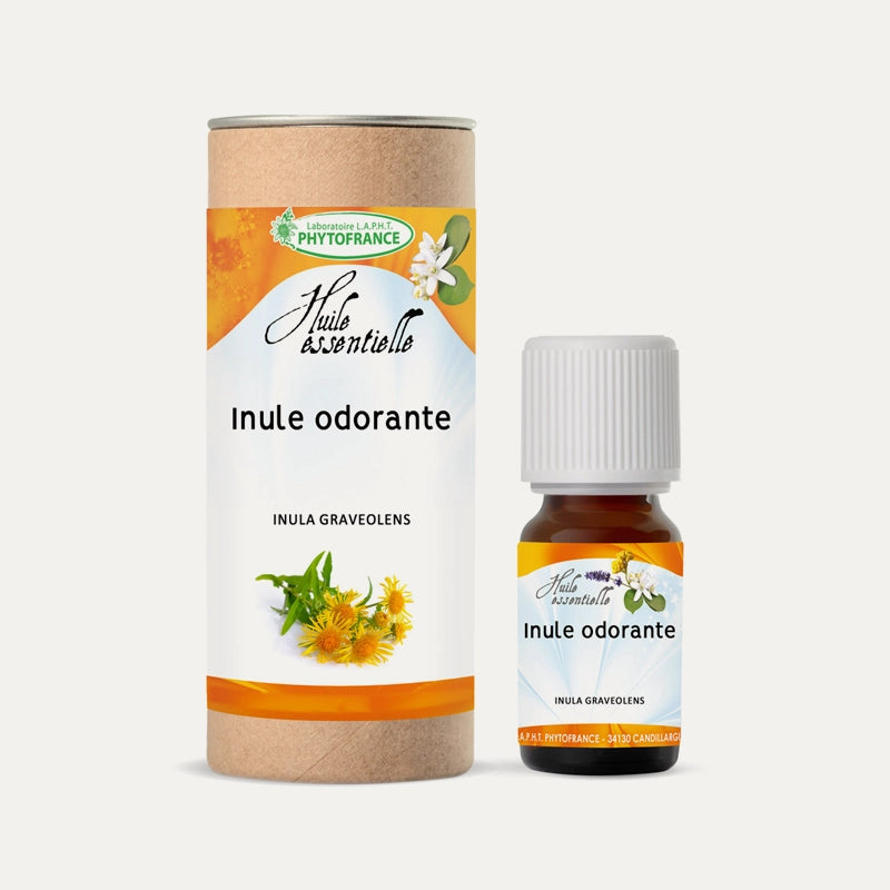Huile essentielle Inule odorante BIO