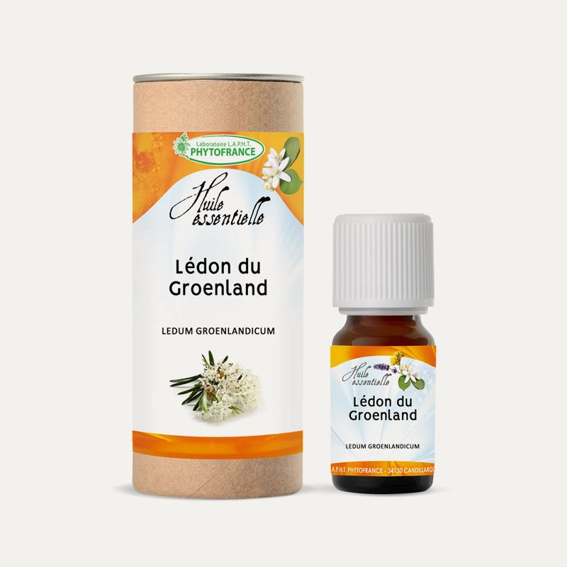 phytofrance-huile-essentielle-ledon-du-groenland.webp