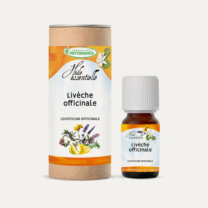 Huile essentielle Livèche officinale racine BIO
