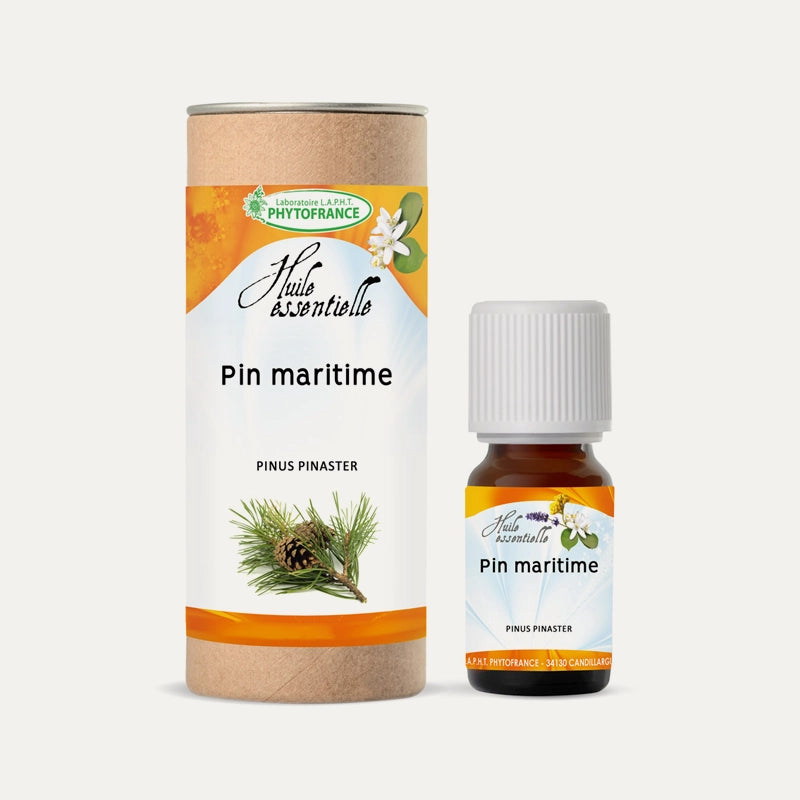 phytofrance-huile-essentielle-pin-maritime.webp