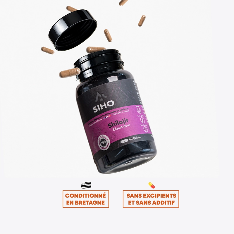 siho-shilajit-resine-gelules-1_982af761-5a59-45ec-9039-b100eb03e466.webp