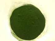 Spiruline BIO - Concentrée en phycocyanine (Poudre)