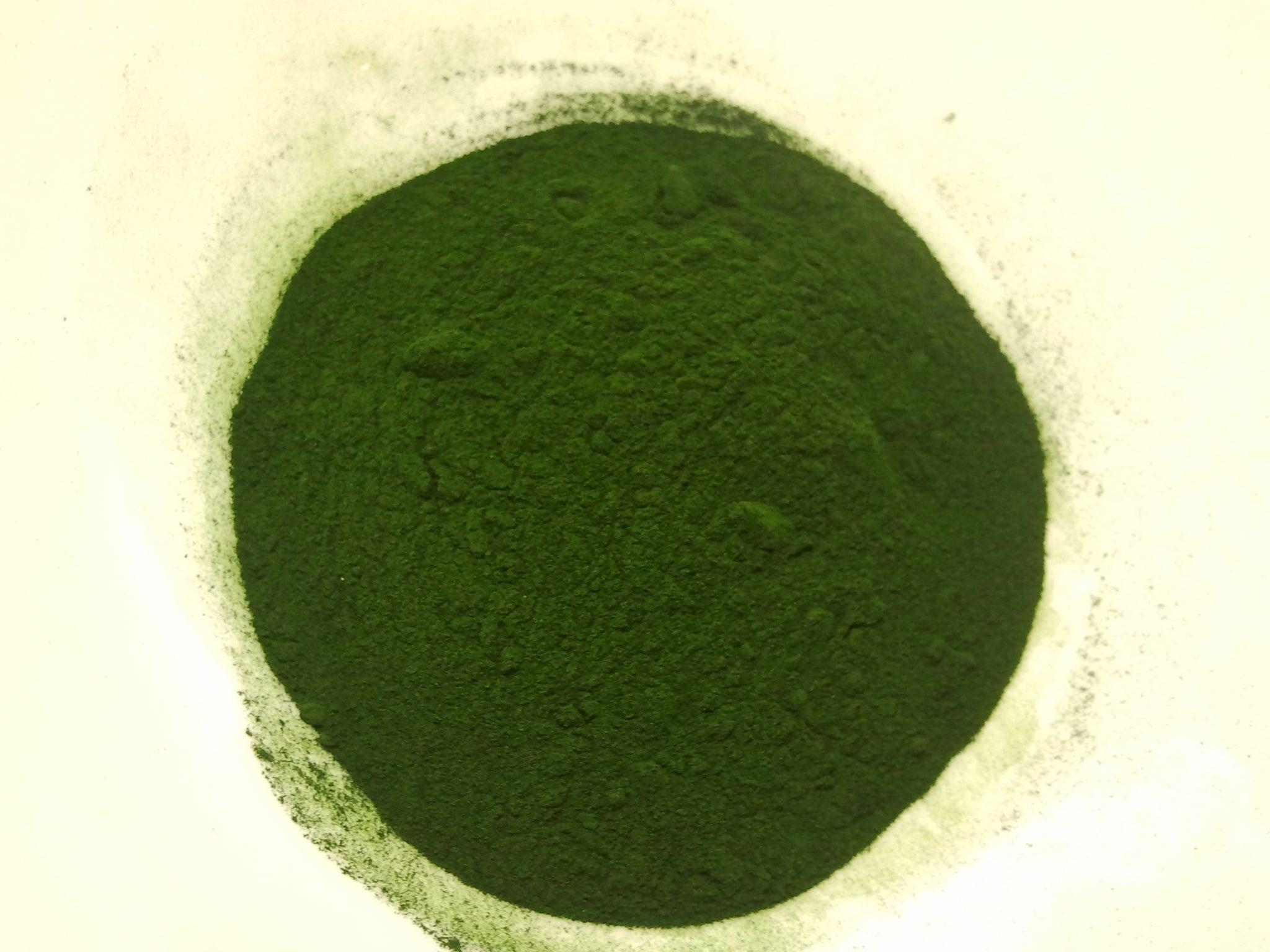 Spiruline BIO - Concentrée en phycocyanine (Poudre)