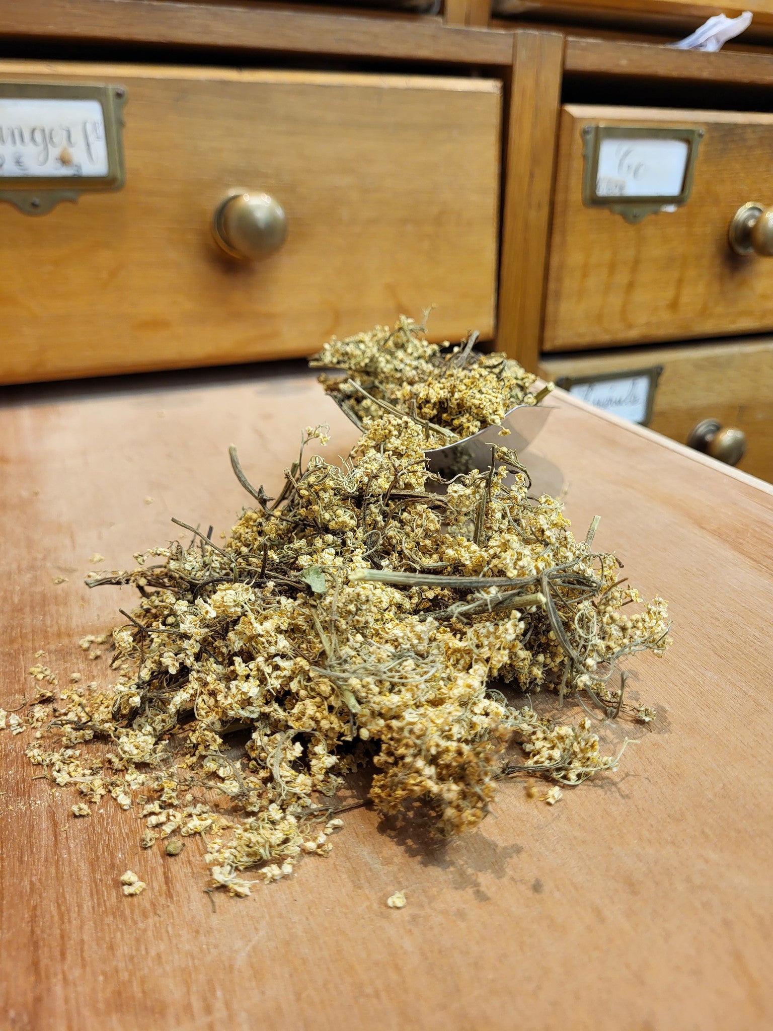 Sureau Noir fleurs en corymbe BIO (Tisane en vrac)