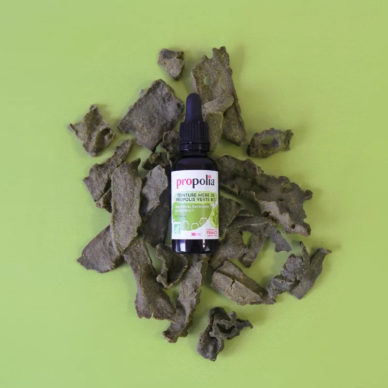 teinture-mere-propolis-verte-bio-3.webp